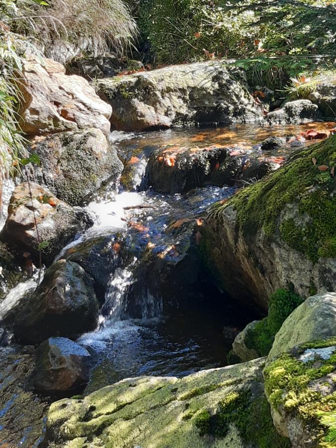 Anno - Wohlfuehlen Am Bachal In Altschoenau Neuschönau Extérieur photo