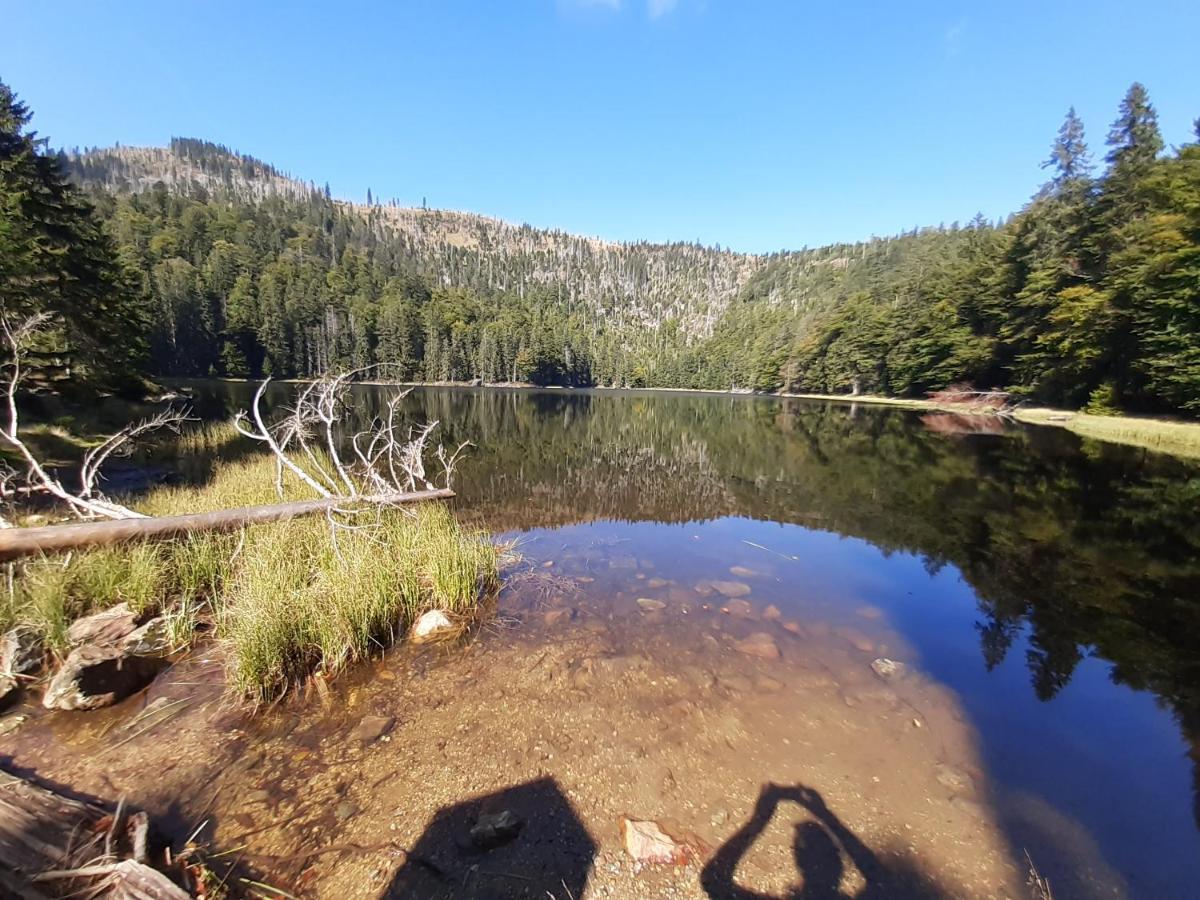 Anno - Wohlfuehlen Am Bachal In Altschoenau Neuschönau Extérieur photo